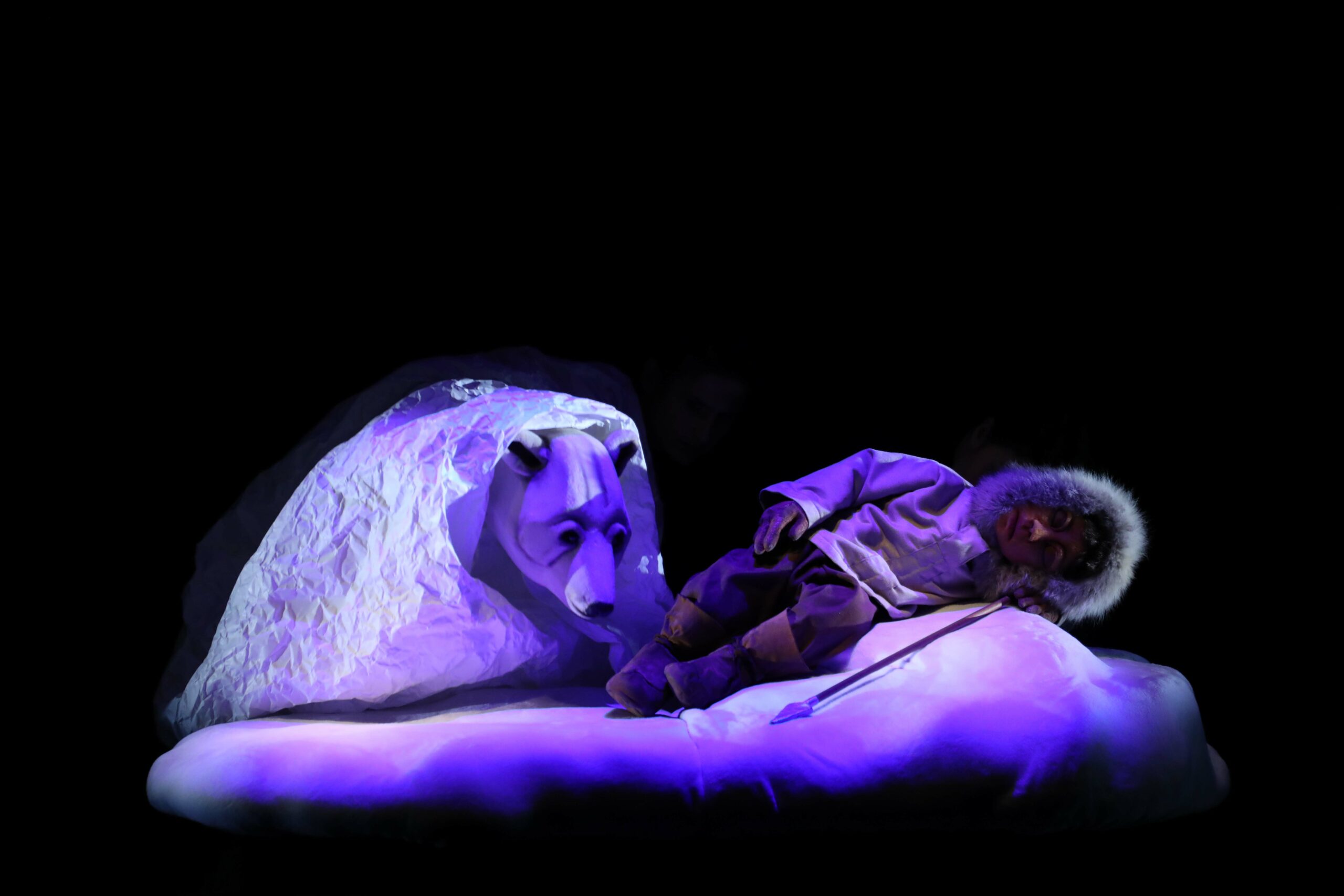 L'ours polaire est-il dans les rêves du jeune garçon ?
