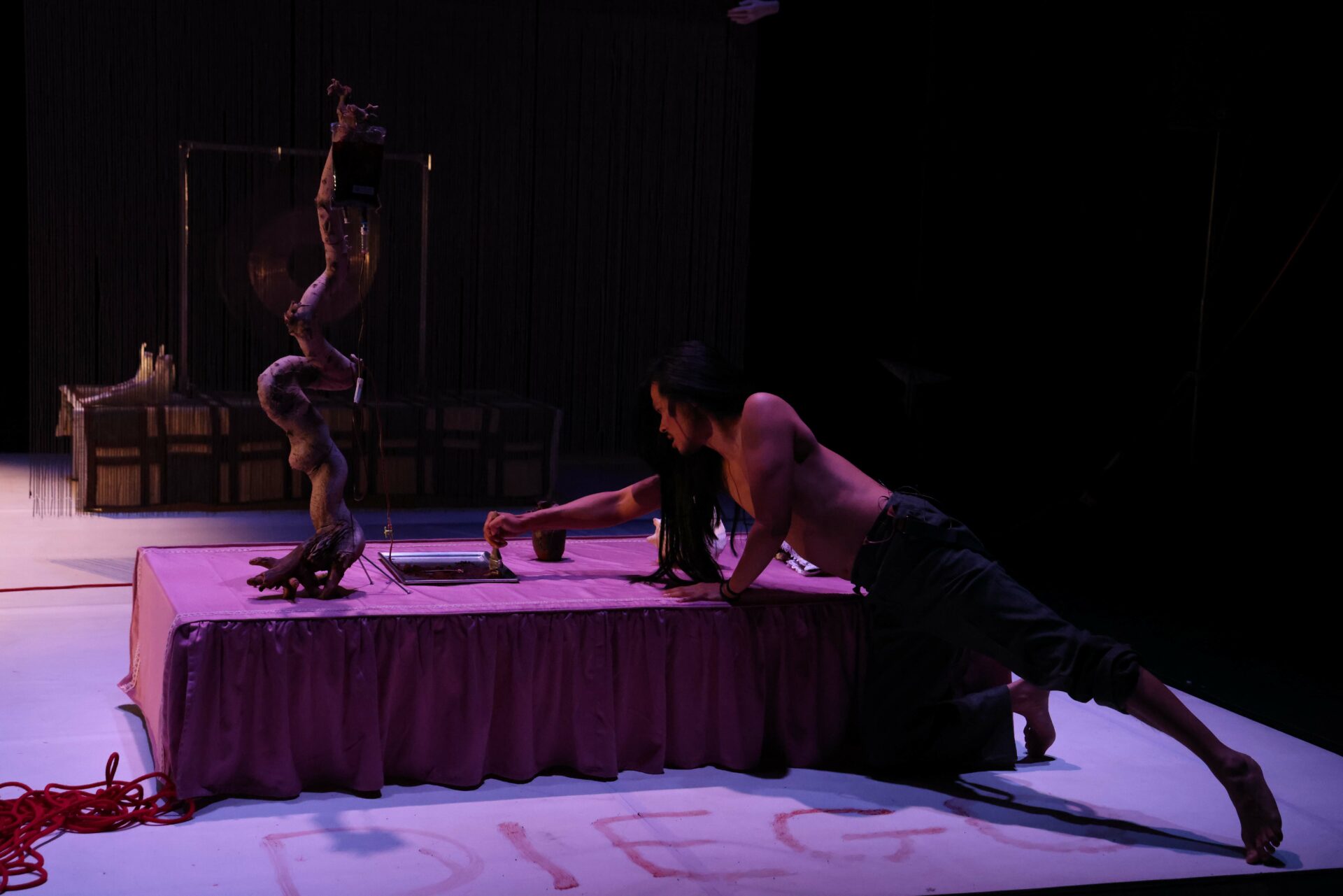 251104_Frida Kahlo_filage_TAW_065